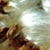 silk pod